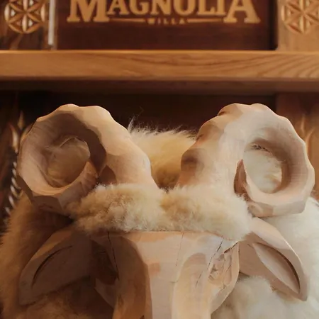 Magnolia Homestay Zakopane